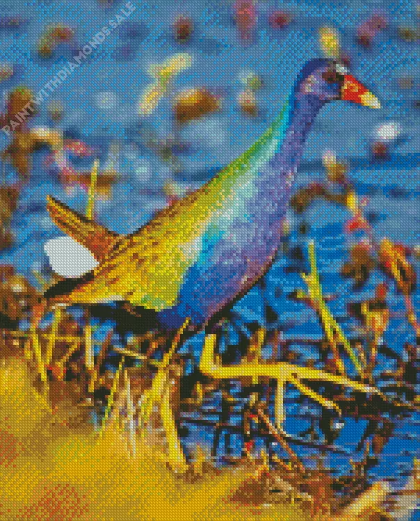 American Purple Gallinule with green wings Diamond Dotz American Purple Gallinule With Green Wings Diamond Painting