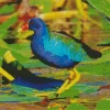 American Purple Gallinules Diamond Painting