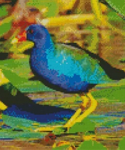 American Purple Gallinules Diamond Painting