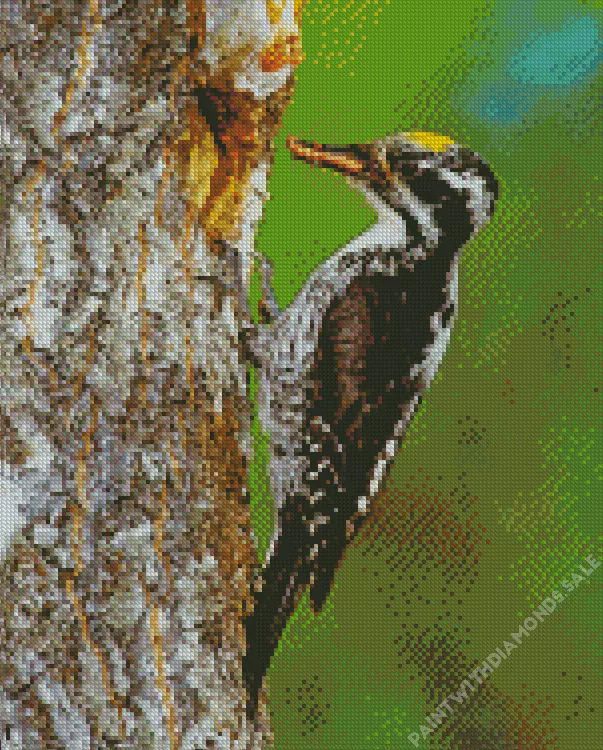American three toed woodpecker Diamond By Numbers American Three Toed Woodpecker Diamond Painting