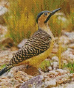Andean Flicker Diamond Painting