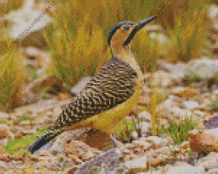 Andean flicker Diamond By Numbers Andean Flicker Diamond Painting