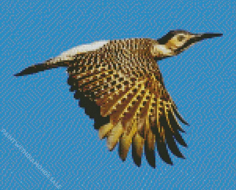 Andean flicker Diamond Dotz Andean Flicker Art Diamond Painting
