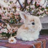 Angora Rabbit And Cherry Blossoms Diamond Painting