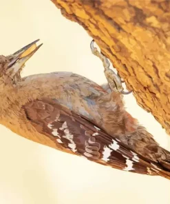 Arabian Woodpecker Diamond Painting
