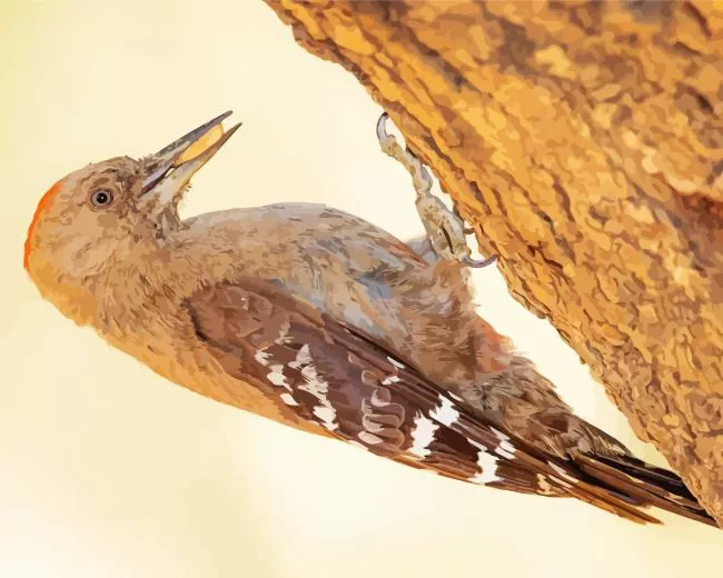 Arabian woodpecker Diamond Paints Arabian Woodpecker Diamond Painting