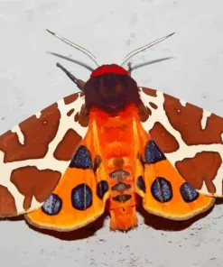 Arctiinae Diamond Painting