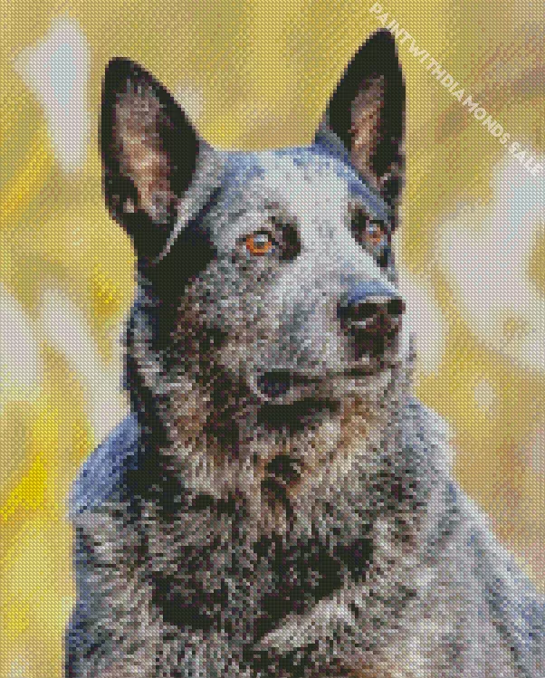 Aussie Cattle Dog Diamond Dotz Aussie Cattle Dog Diamond Painting