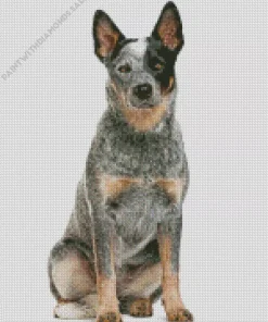 Australian Cattle Dog Blue Heeler Art Diamond Painting