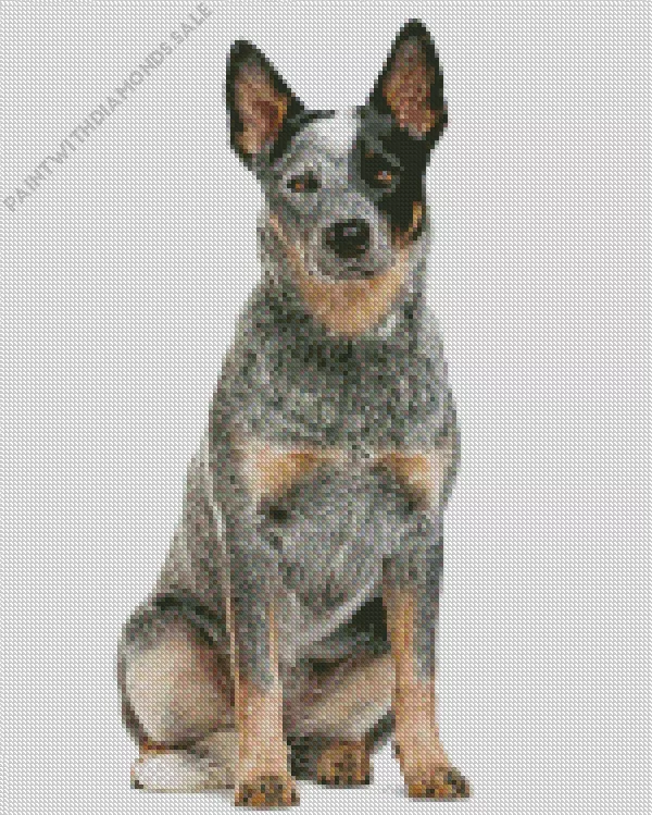 Australian Cattle Dog blue heeler art Diamond Dotz Australian Cattle Dog Blue Heeler Art Diamond Painting