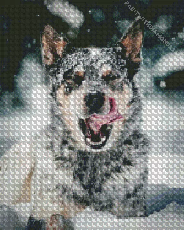 Australian Cattle Dog in snow Diamond Dotz