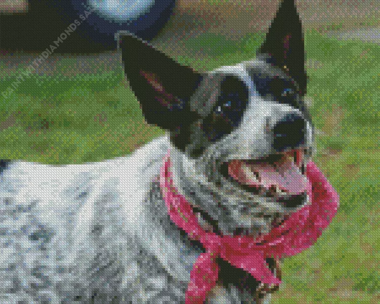 Australian Cattle Dog with pink scarf Diamond Dotz Australian Cattle Dog With Pink Scarf Diamond Painting