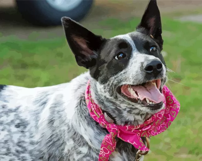 Australian Cattle Dog with pink scarf Diamond Paintings Australian Cattle Dog With Pink Scarf Diamond Painting