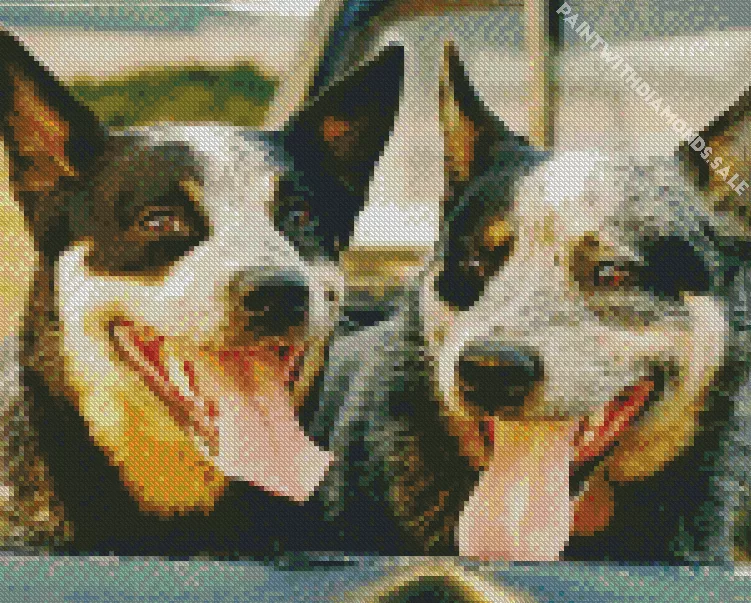 Australian Cattle Dogs Diamond Dotz Australian Cattle Dogs Diamond Painting