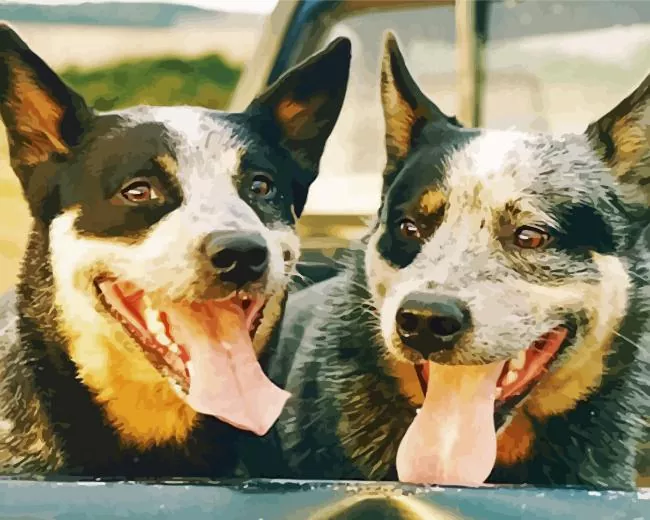 Australian Cattle Dogs Diamond Paintings Australian Cattle Dogs Diamond Painting