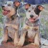 Australian Cattle Puppies Diamond Painting