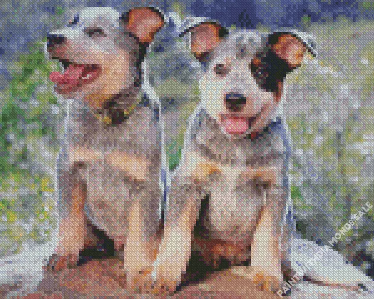 Australian Cattle puppies Diamond Dotz Australian Cattle Puppies Diamond Painting