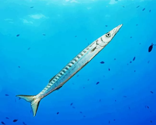 Barracuda Diamond Paints Barracuda Underwater Diamond Painting