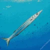 Barracuda Underwater Diamond Painting