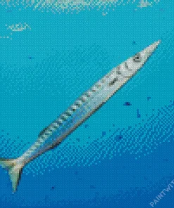 Barracuda Underwater Diamond Painting