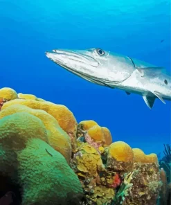 Barracuda Fish Diamond Painting