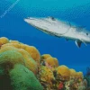 Barracuda Fish Diamond Painting