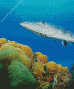 Barracuda Fish Diamond Painting