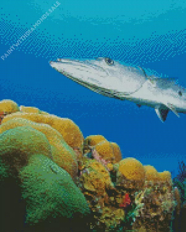 Barracuda Fish Diamond With Numbers Barracuda Fish Diamond Painting