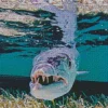 Barracuda Fish Underwater Diamond Painting