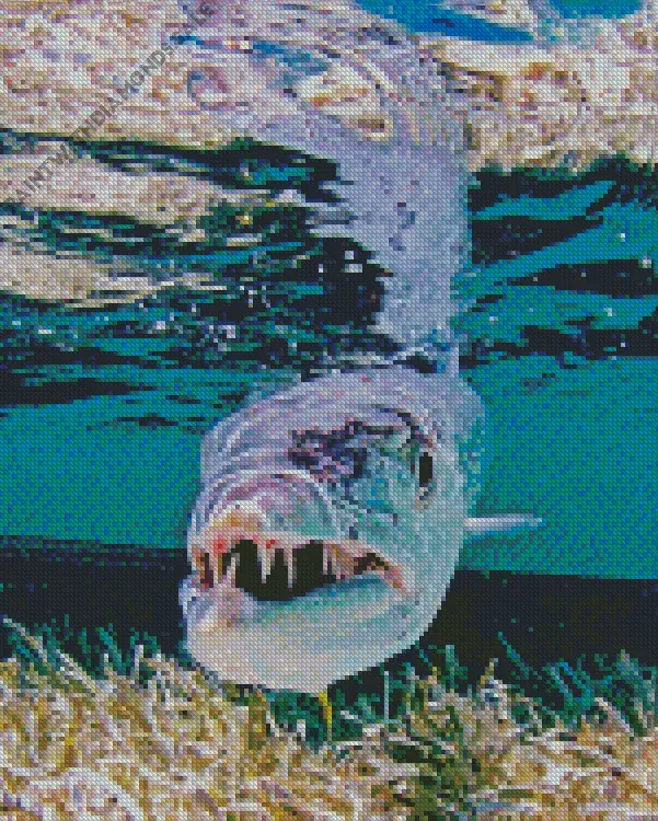 Barracuda Fish underwater Diamond With Numbers Barracuda Fish Underwater Diamond Painting