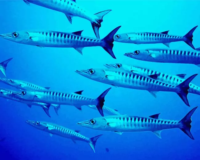 Barracuda Fishes Diamond Paints Barracuda Fishes Diamond Painting