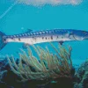 Barracuda Fishing Diamond Painting