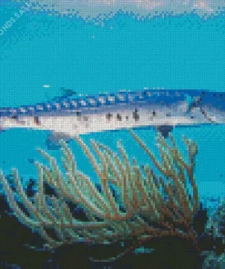 Barracuda Fishing Diamond Painting