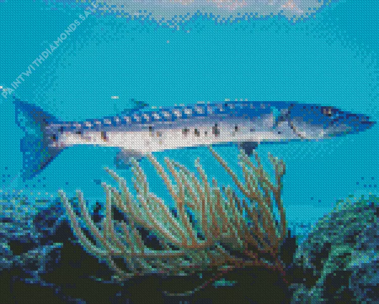 Barracuda Fishing Diamond With Numbers Barracuda Fishing Diamond Painting