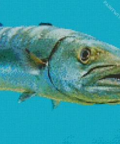 Barracuda With Teeth Diamond Painting