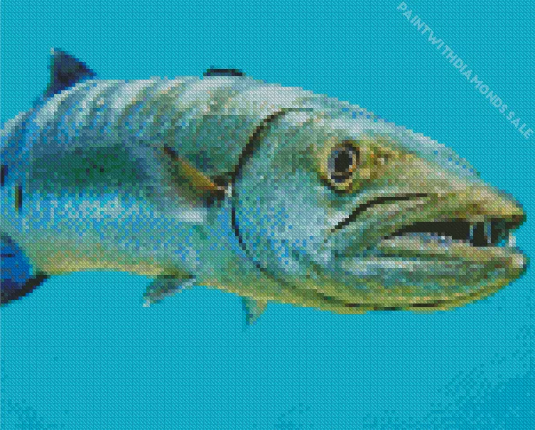 Barracuda with teeth Diamond With Numbers Barracuda With Teeth Diamond Painting