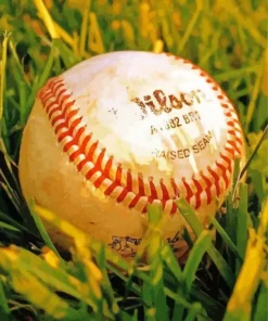 Baseball In Grass Diamond Painting