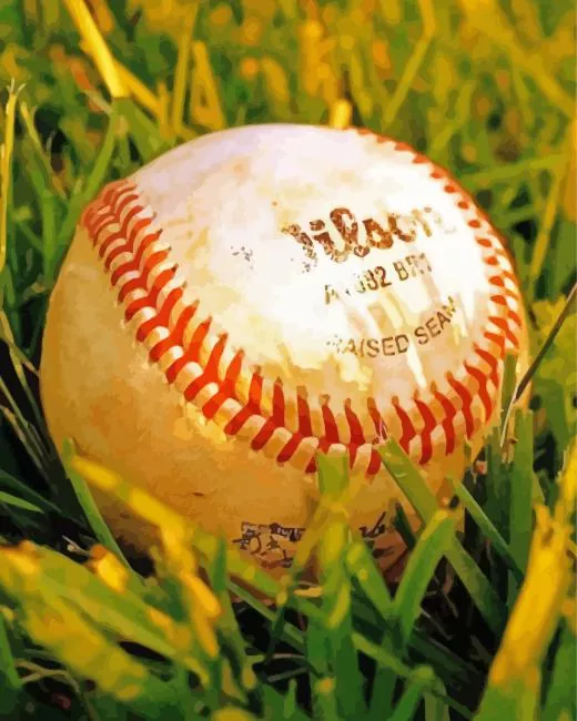 Baseball in grass Diamond By Numbers Baseball In Grass Diamond Painting