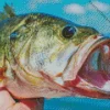 Bass Fish Diamond Painting