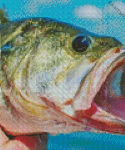Bass Fish Diamond Painting