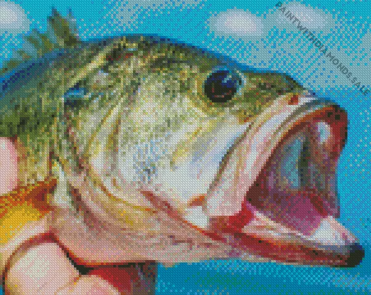 Bass fish Diamond Paintings Bass Fish Diamond Painting
