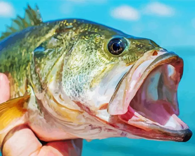 Bass fish Diamond With Numbers Bass Fish Diamond Painting