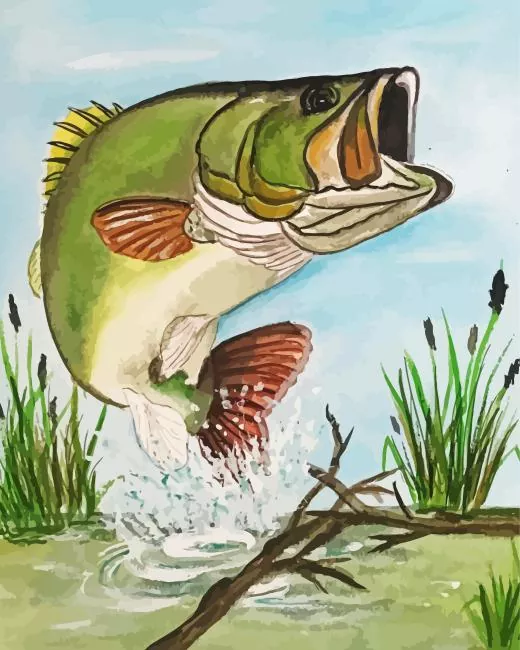 Bass fish art Diamond With Numbers Bass Fish Art Diamond Painting