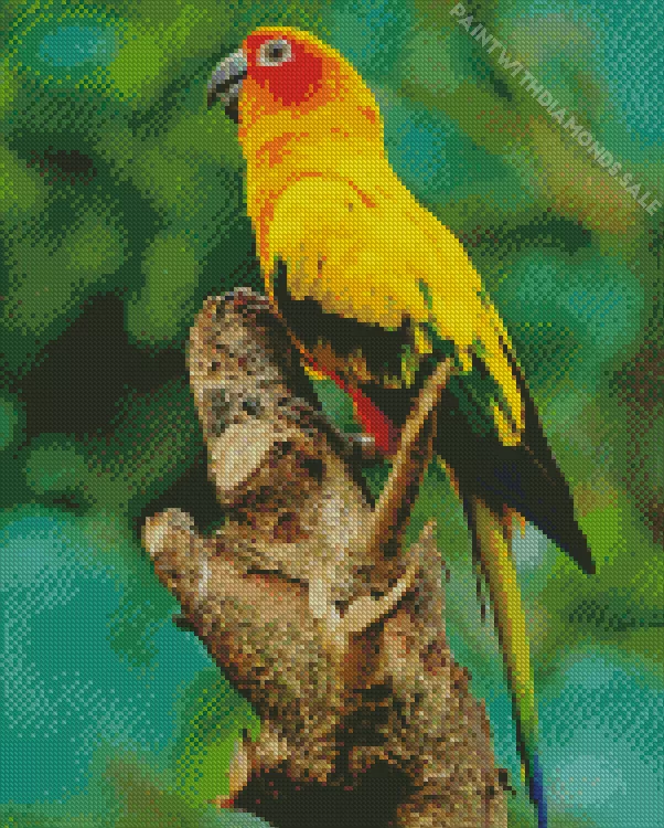 Birds_Sun_Conure Diamond By Numbers Birds Sun Conure Diamond Painting