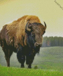 Bison Diamond Painting
