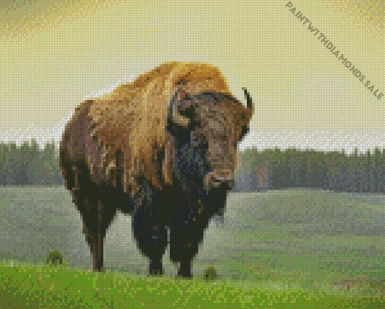 Bison Diamond By Numbers Bison Diamond Painting