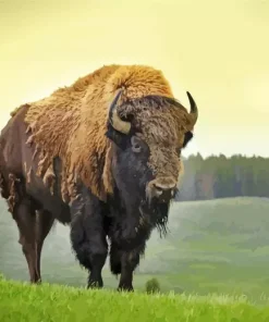Bison Diamond Painting