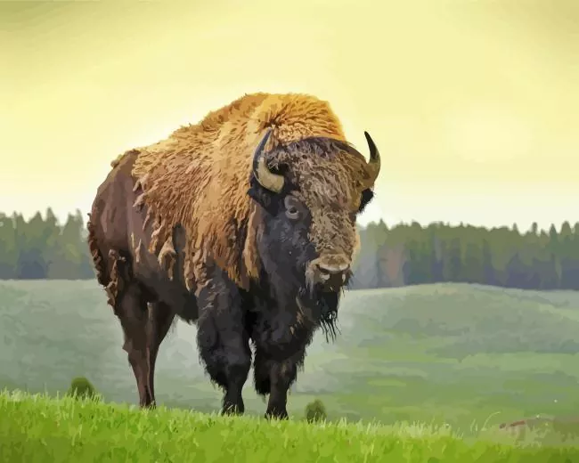 Bison Diamond Paintings Bison Diamond Painting