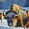 Bison In Sunlight Diamond Painting