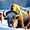 Bison In Sunlight Diamond Painting